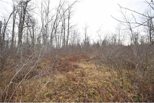 0 Cummings Rd, Danbury WI, 54830 land for sale