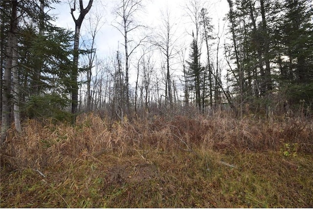 0 N Fire Lane Rd, Danbury, WI 54830