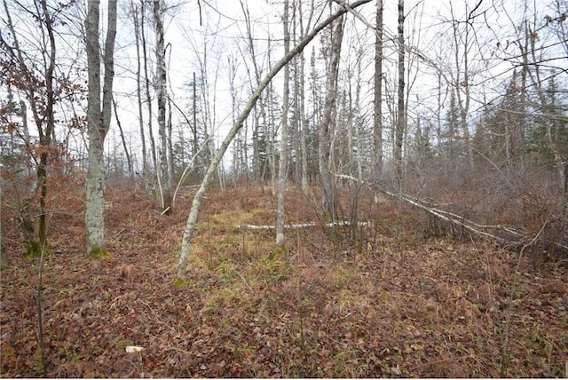 0 N Fire Lane Rd, Danbury, WI 54830
