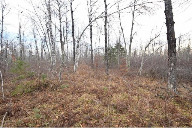 0 N Fire Lane Rd, Danbury, WI 54830
