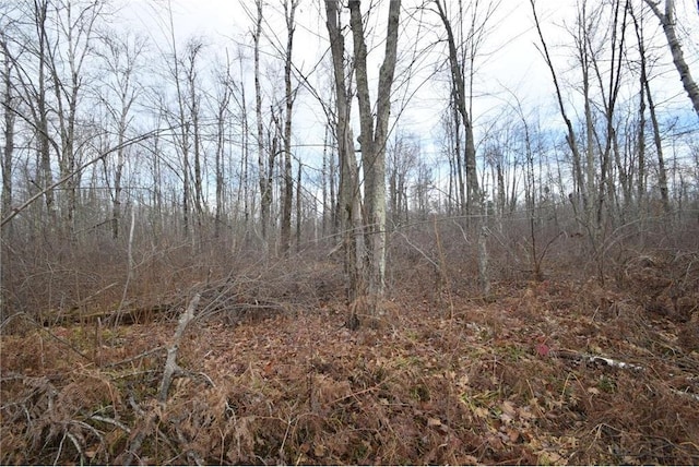 0 N Fire Lane Rd, Danbury, WI 54830