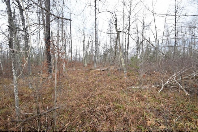 0 N Fire Lane Rd, Danbury, WI 54830