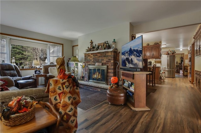 living room featuring a fireplace and hardwood / wood-style flooring