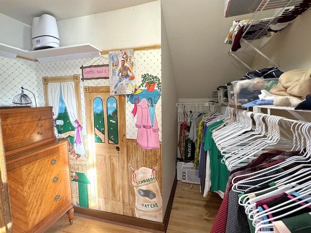 spacious closet with hardwood / wood-style flooring