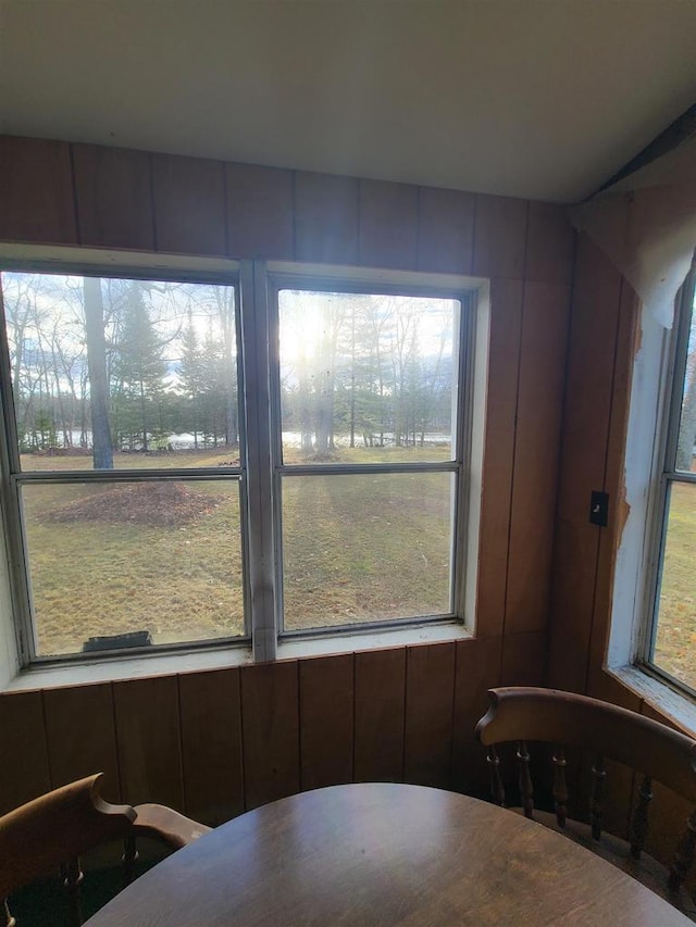 dining room featuring wood walls and a healthy amount of sunlight