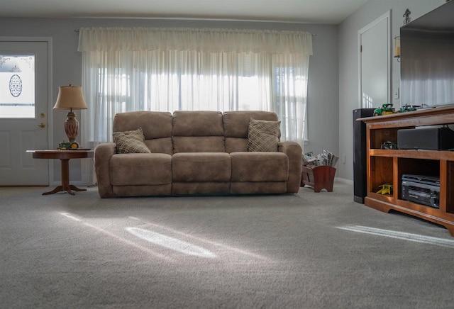 living room featuring carpet