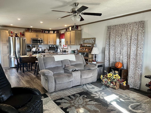 living room with sink, ceiling fan, a textured ceiling, crown molding, and dark wood-type flooring