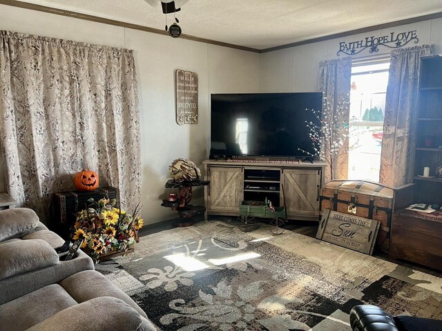 living room with ceiling fan, a textured ceiling, and crown molding