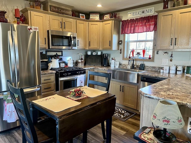 kitchen featuring light brown cabinetry, stainless steel appliances, sink, and dark hardwood / wood-style floors