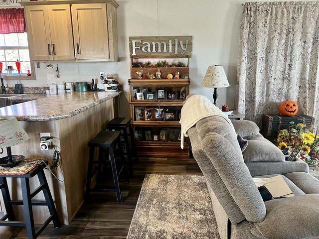 bar with dark wood-type flooring and light brown cabinetry