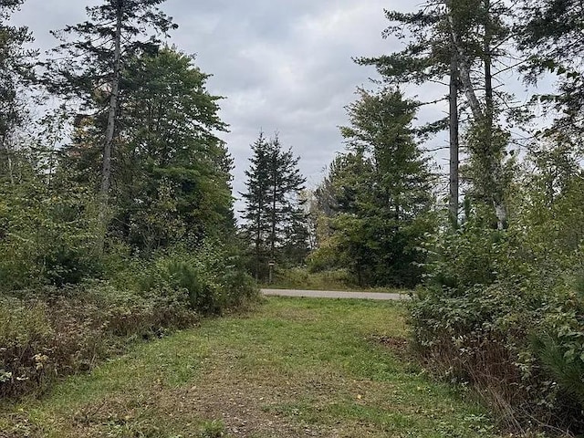 3.01ACRES Pine Shore Ln, Tomahawk WI, 54487 land for sale