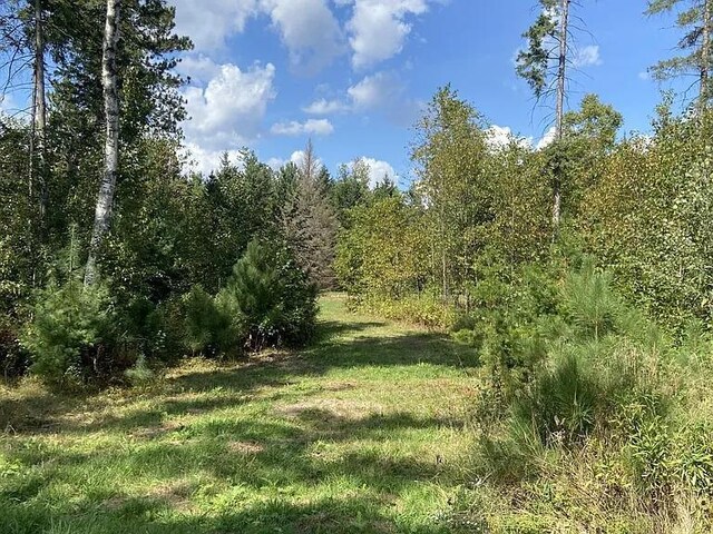 LOT4 Pine Shore Ln, Tomahawk, WI 54487