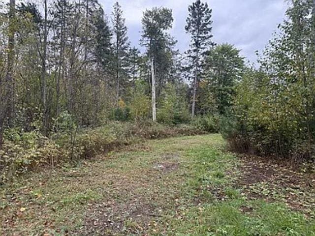 Listing photo 2 for 3.01ACRES Pine Shore Ln, Tomahawk WI 54487