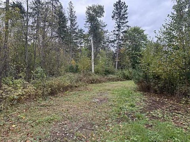 LOT4 Pine Shore Ln, Tomahawk, WI 54487