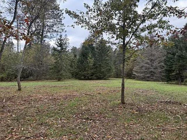 Listing photo 3 for 3.01ACRES Pine Shore Ln, Tomahawk WI 54487