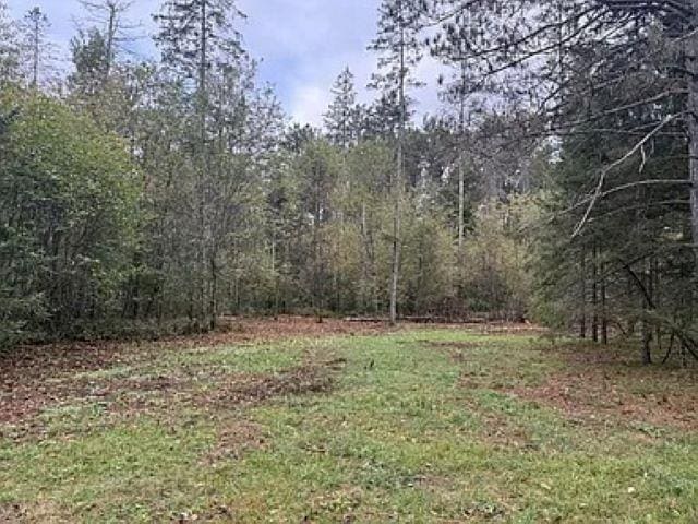 LOT4 Pine Shore Ln, Tomahawk, WI 54487