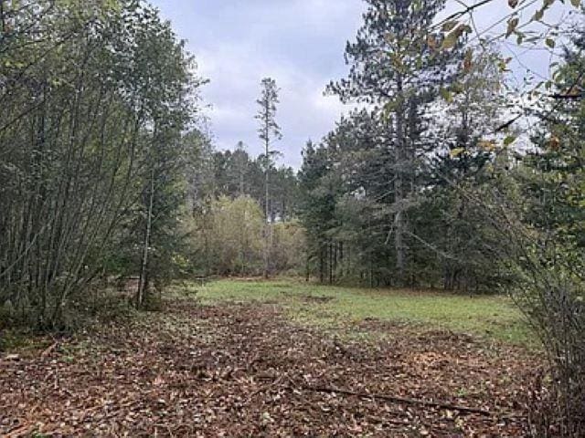 LOT4 Pine Shore Ln, Tomahawk, WI 54487