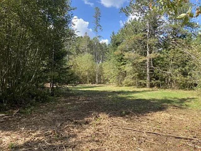 LOT4 Pine Shore Ln, Tomahawk, WI 54487