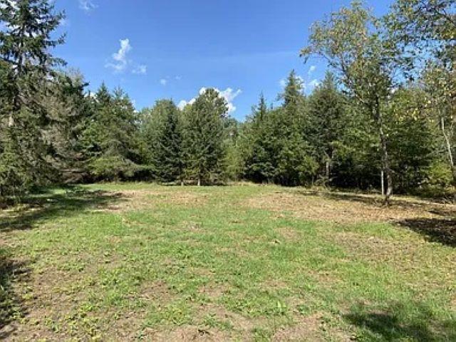 LOT4 Pine Shore Ln, Tomahawk, WI 54487