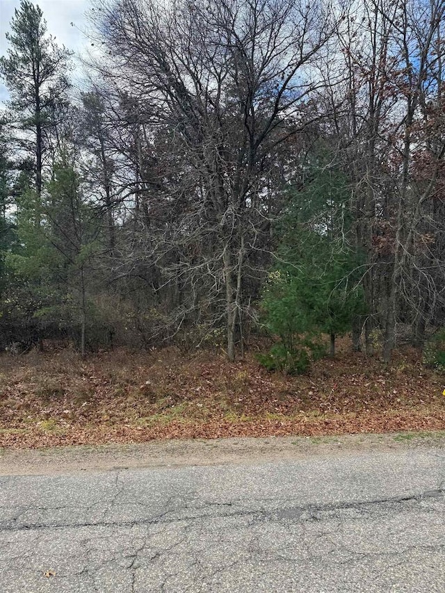 LOT1 N Point Dr, Stevens Point WI, 54481 land for sale