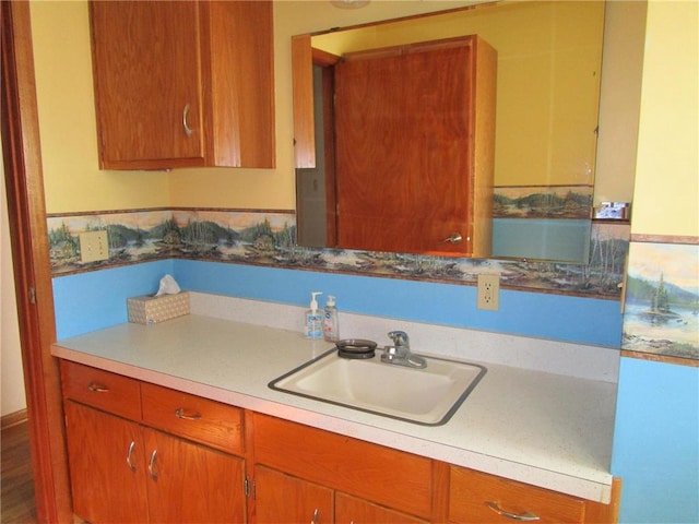 kitchen with wood-type flooring and sink