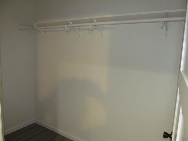 spacious closet with dark wood-type flooring