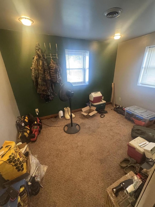 miscellaneous room featuring carpet flooring