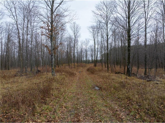 53ACRES Otto Olson Rd, Grand View WI, 54839 land for sale