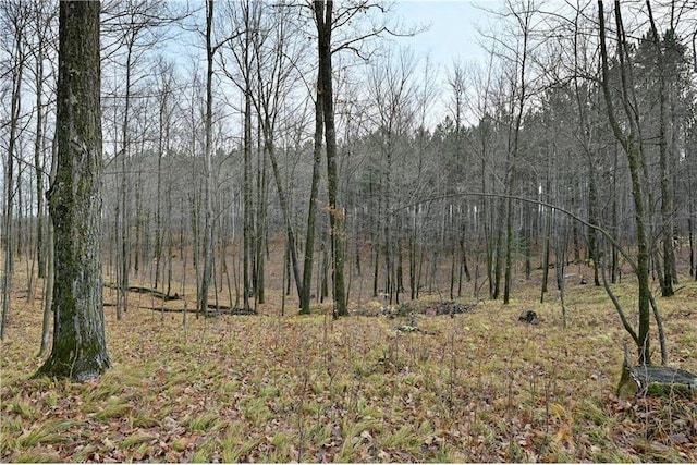 Listing photo 3 for 53ACRES Otto Olson Rd, Grand View WI 54839