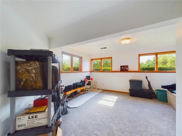 workout area featuring carpet flooring