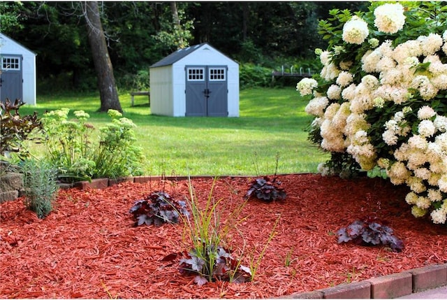 view of yard with a storage unit