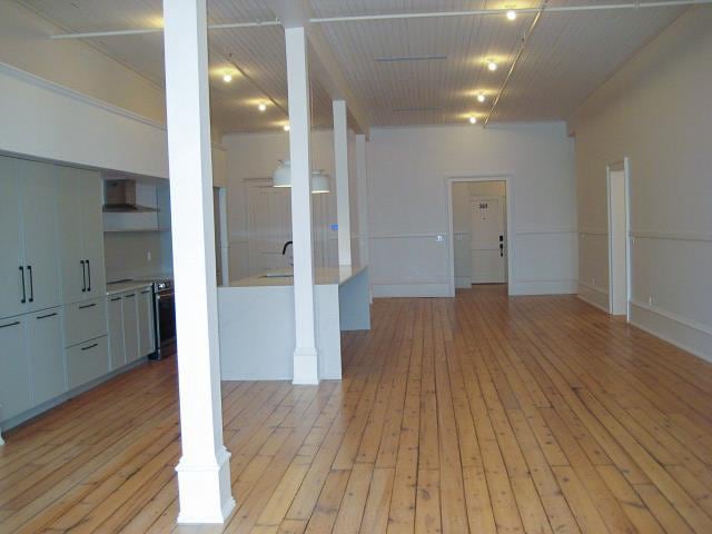 unfurnished room with light hardwood / wood-style flooring and sink