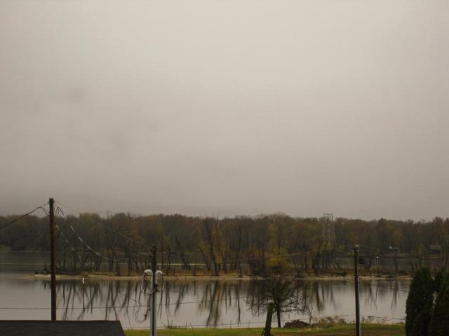 water view featuring a heavily wooded area