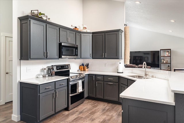 kitchen with kitchen peninsula, stainless steel appliances, sink, and dark hardwood / wood-style floors