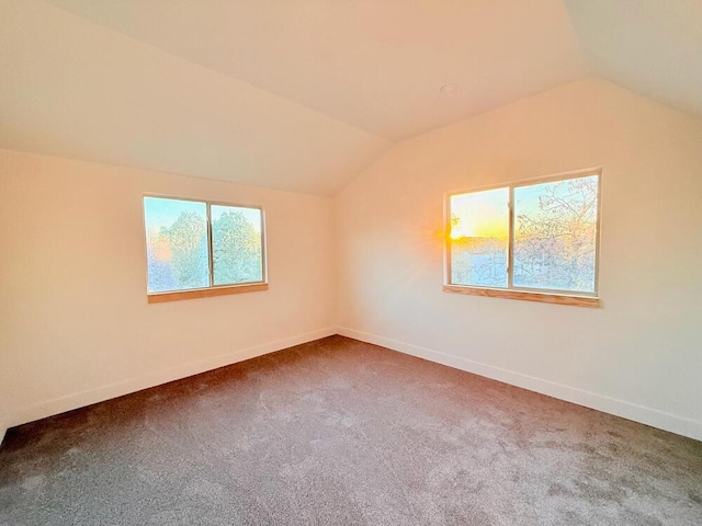 bonus room featuring vaulted ceiling and carpet floors