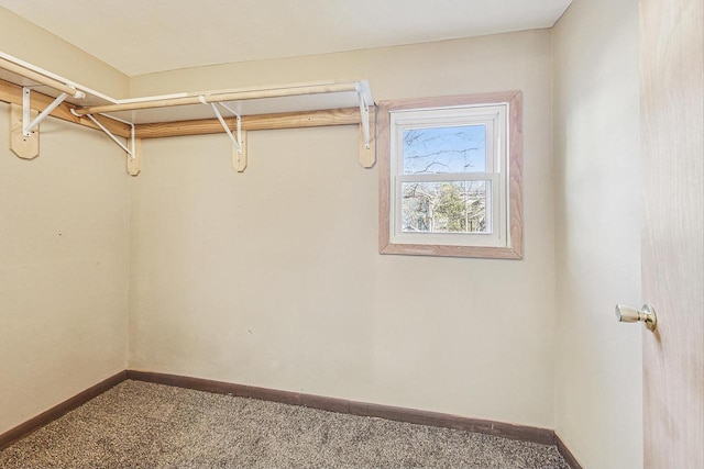 spacious closet featuring carpet