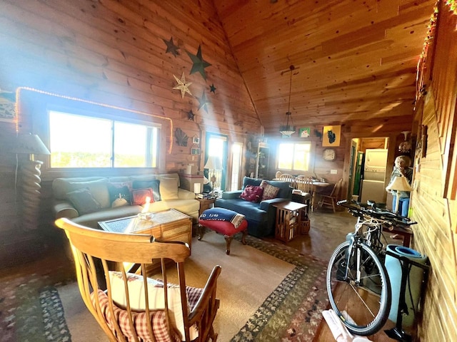 interior space featuring wood walls, a healthy amount of sunlight, and high vaulted ceiling