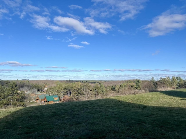 view of yard featuring a rural view