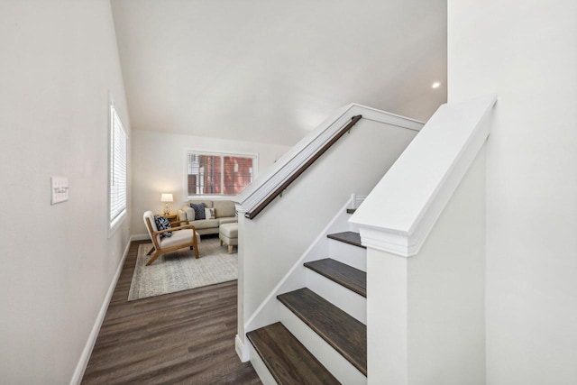 staircase with wood-type flooring