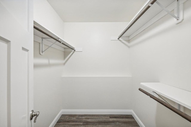 spacious closet with dark wood-type flooring