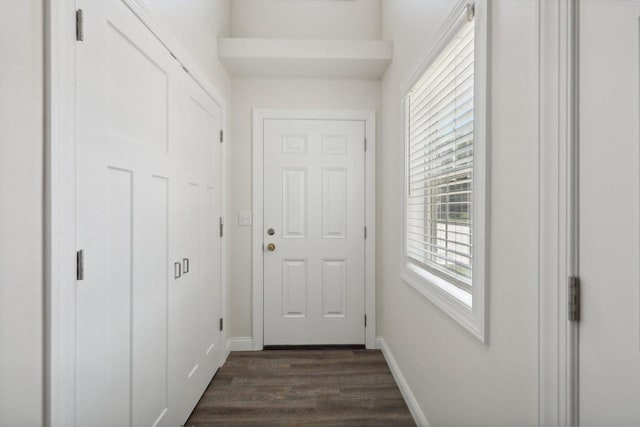 doorway to outside featuring dark hardwood / wood-style flooring