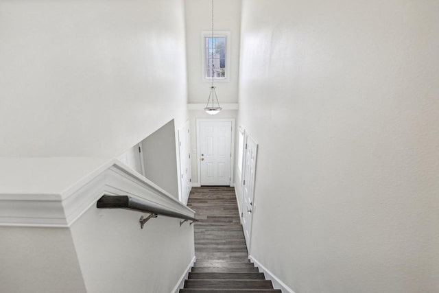 staircase with hardwood / wood-style flooring