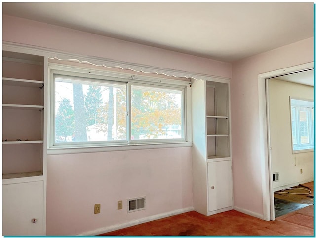 interior space featuring multiple windows and carpet floors