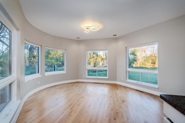 empty room with light hardwood / wood-style flooring and a healthy amount of sunlight