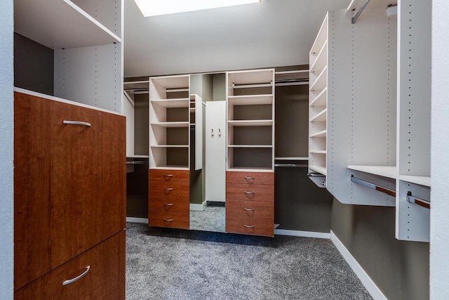 walk in closet with dark carpet