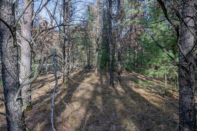 LOT3 Meadow Dr, New Lisbon WI, 53950 land for sale