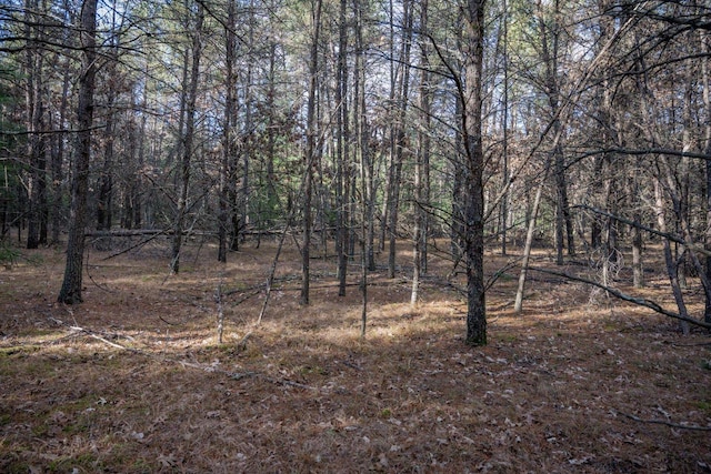 Listing photo 3 for LOT3 Meadow Dr, New Lisbon WI 53950