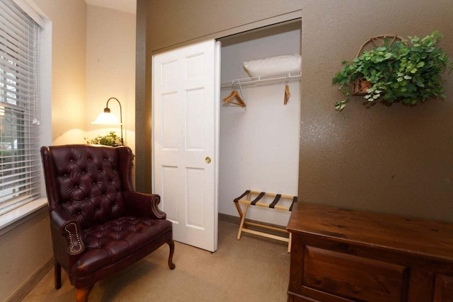 sitting room with light colored carpet