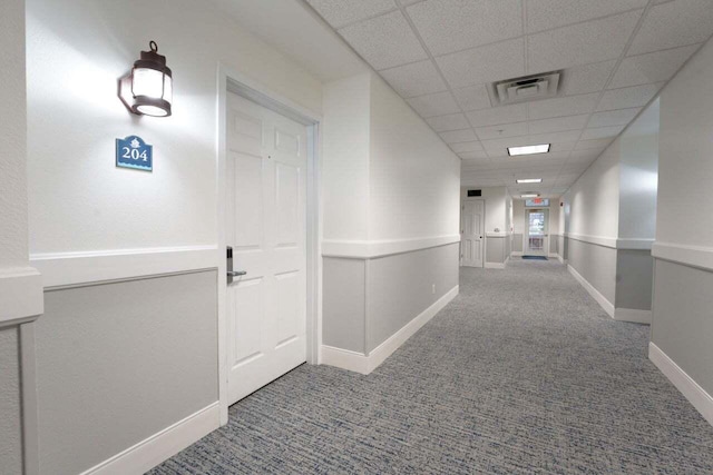 hallway featuring carpet and a drop ceiling