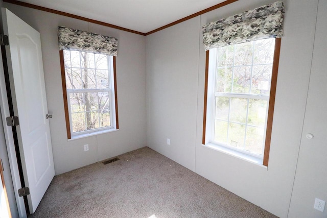 empty room with plenty of natural light, carpet, and ornamental molding